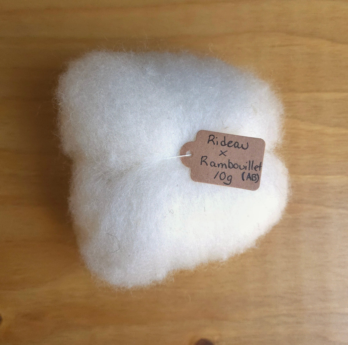 Mini Batt 10g