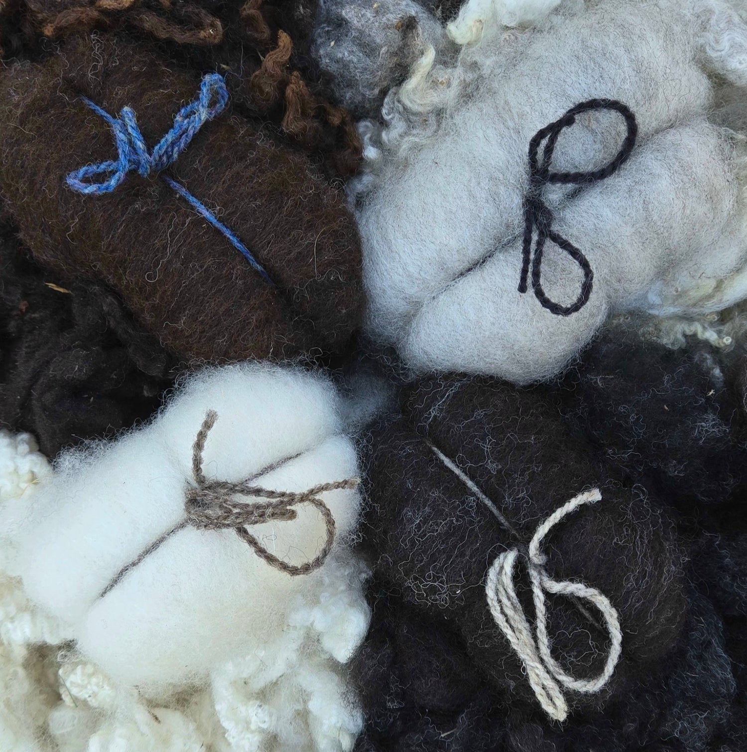 Samplers